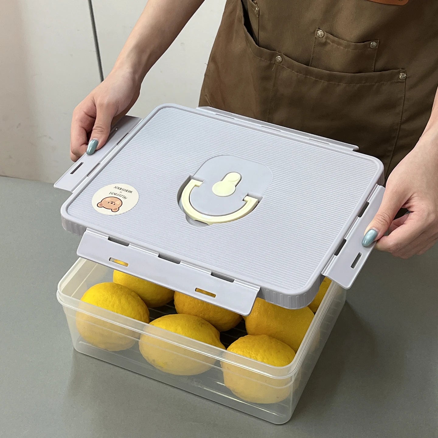 boiterangementcitronscouverclehermetiquepoignee